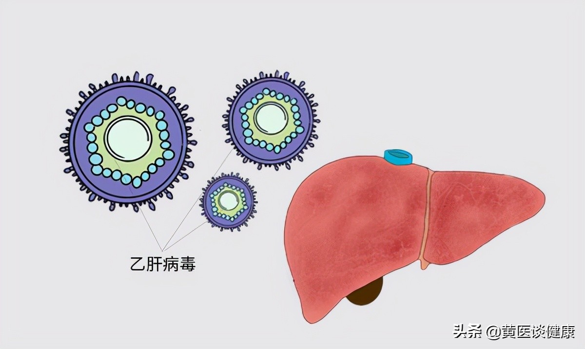 小三阳病毒携带者肝功能低于500,小三阳肝功能正常需要抗病毒