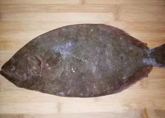 宁波一渔民整理海鲜大全,宁波最全的海鲜