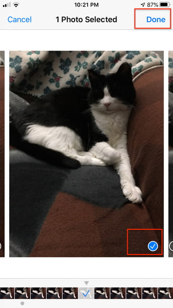 全部删除苹果手机所有照片和视频,iphone自带相机删除了怎么恢复