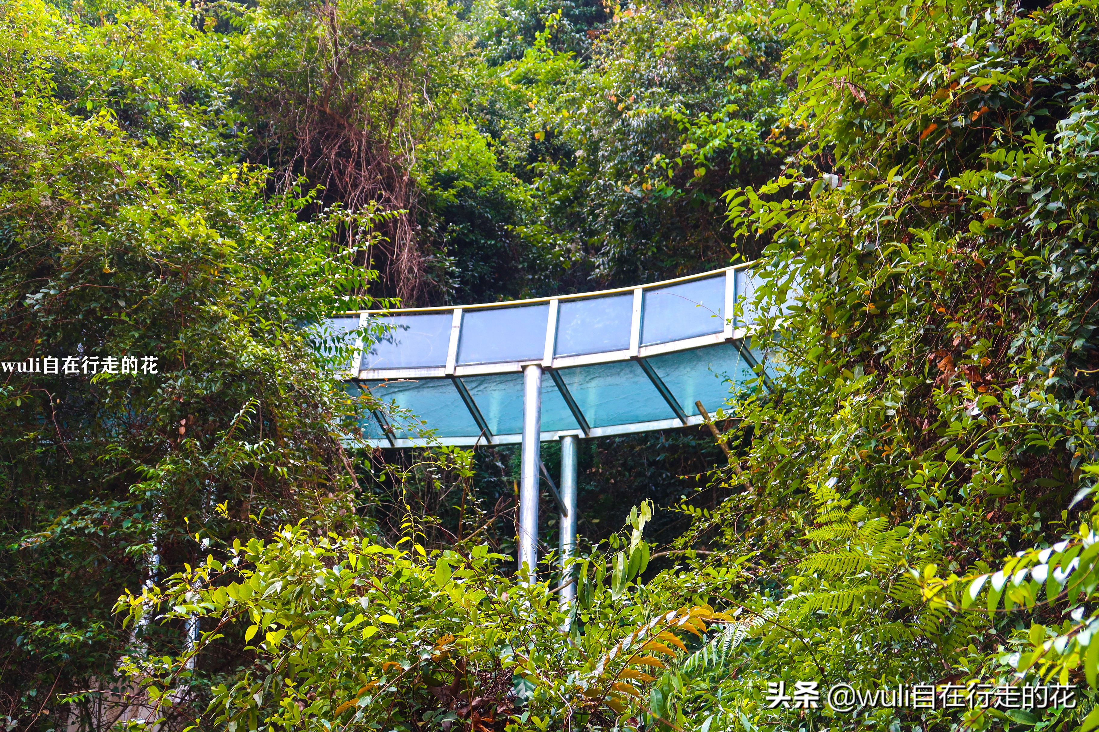 长泰县十里蓝山,漳州长泰十里蓝山攻略