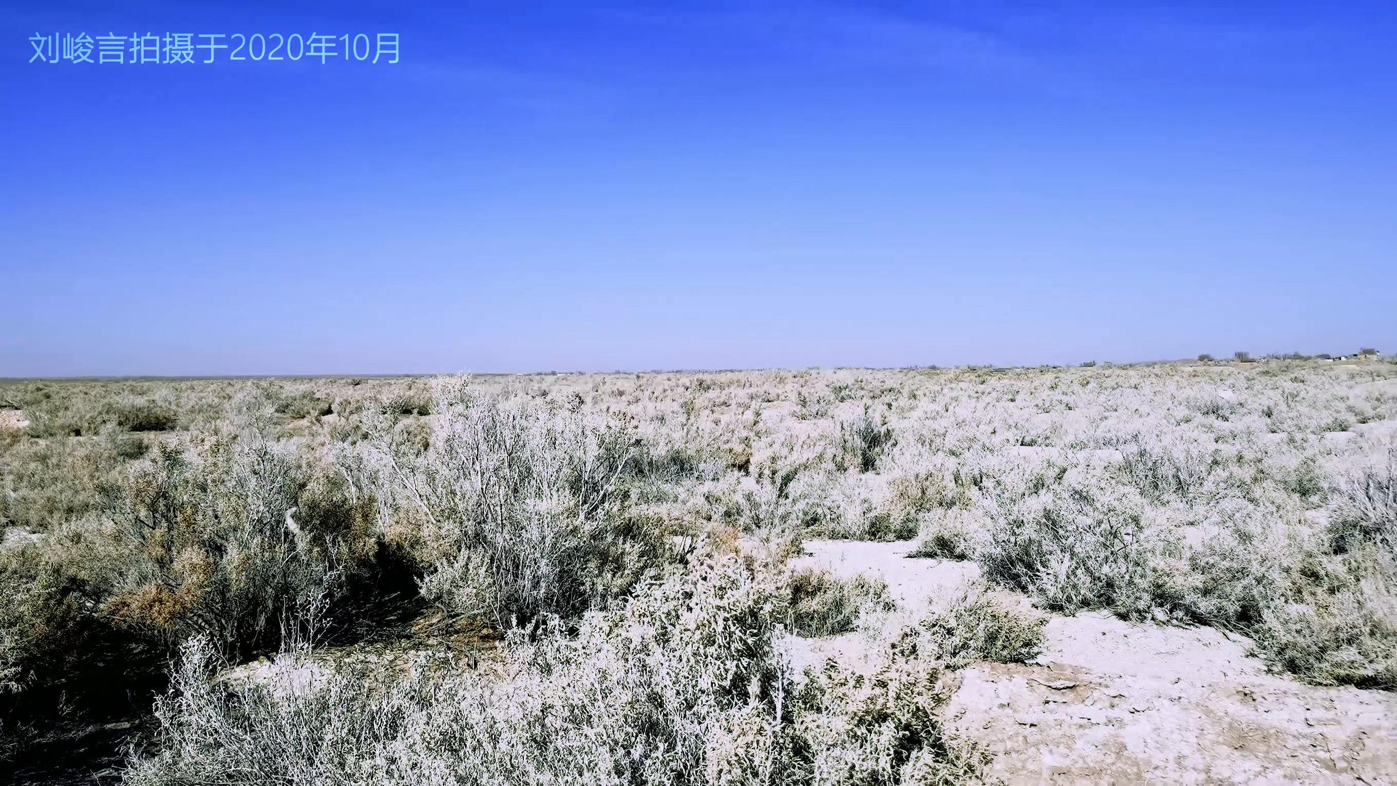 西部城市银川,银川沿海城市