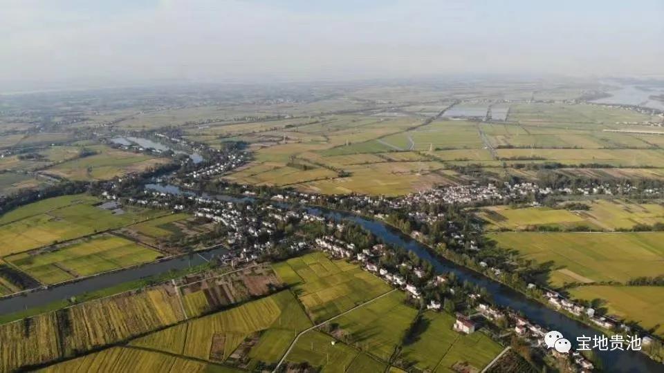 村级集体经济发展经验做法,发展壮大村集体经济思路和想法