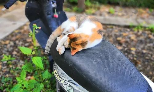 十大亲子度假酒店推荐,国内必去的9大超美亲子酒店