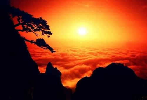 江南西道吴国道人,江南西道醴陵