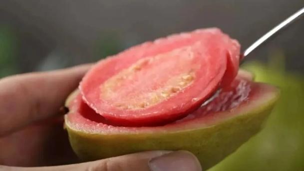 口感最甜的芭乐,什么颜色的芭乐好吃又甜