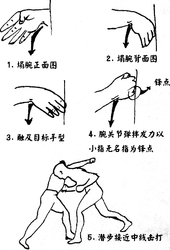中华武术的真正精髓是什么,寸劲武术