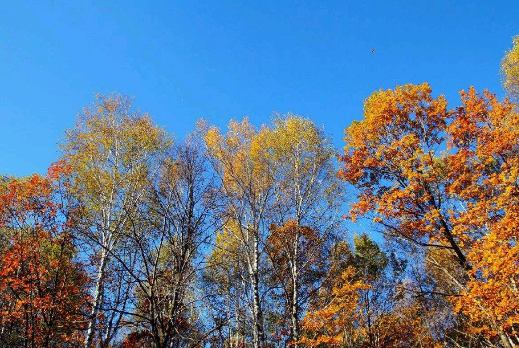 松江河到丹东多少公里,松江河镇到朝鲜边界