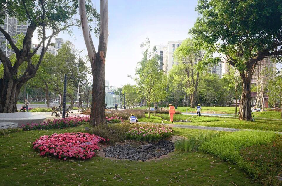 深圳免费公园适合儿童,深圳免费公园哪里最好啊