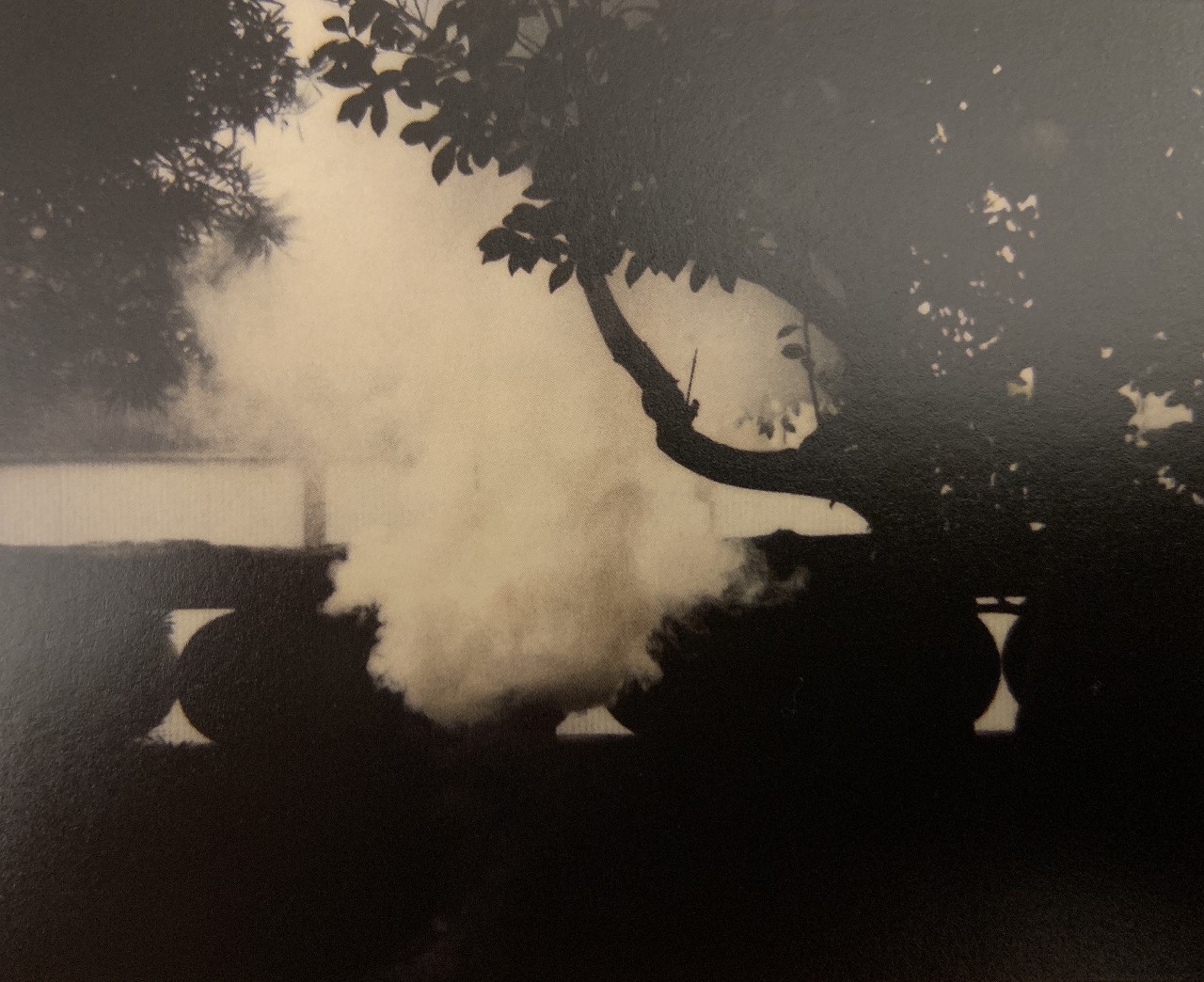 九条“不见得”,手机也能拍大片