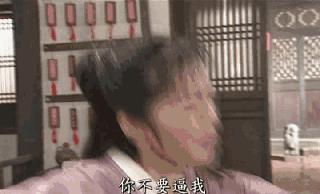 除了苏家和凌家还有什么家,除了苏家还有哪个家族