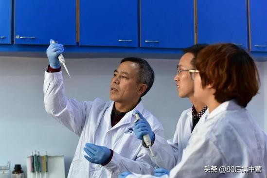 蟹稻共生米和普通大米的区别,蟹稻香大米