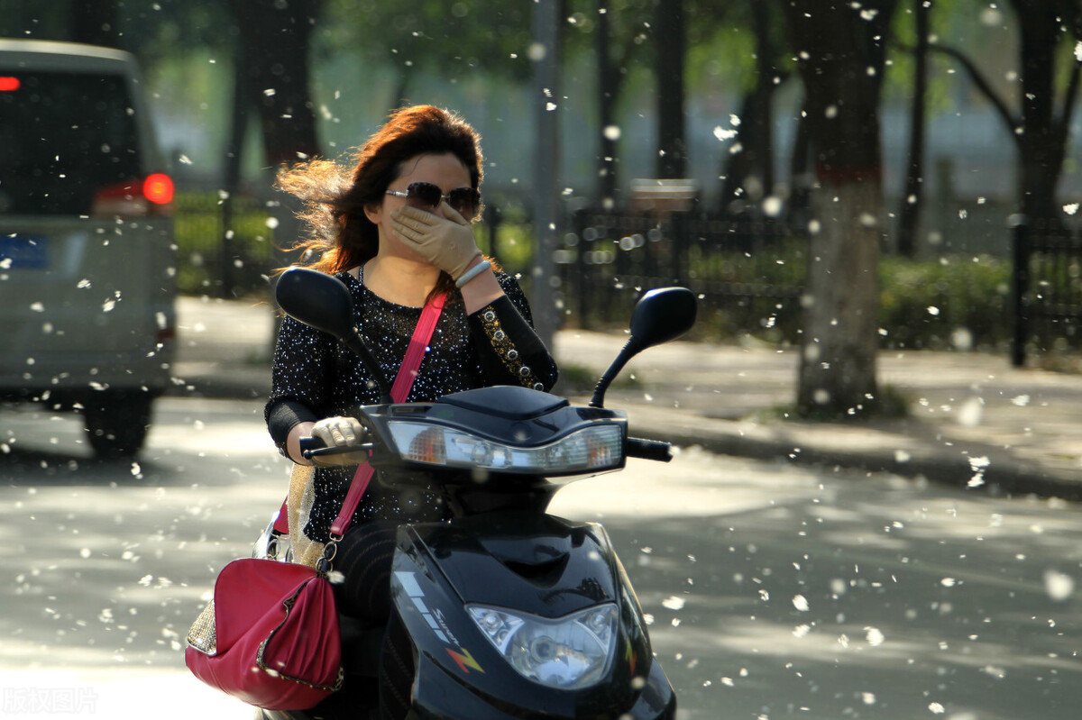 过敏性鼻炎查到过敏源后能根治吗,过敏性鼻炎通过中医理疗会根治吗