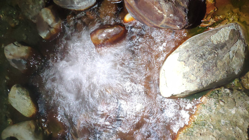 涓佺湡瑗胯棌鏃呮父鏀荤暐,宸濊タ鏃呮父涓佺湡