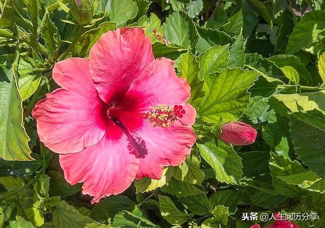 人生格言正能量励志名句简短,励志短句正能量名人名言