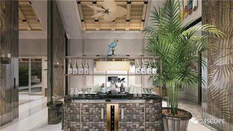 马尔代夫最美度假旅游岛酒店,马尔代夫娇丽酒店价格