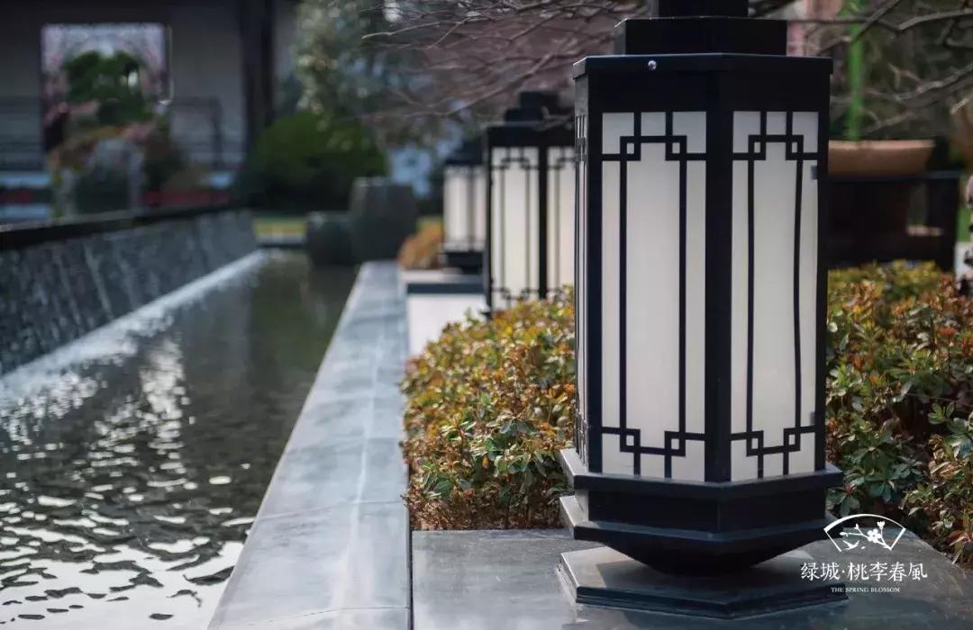 没忍住,还是再次来看了桃李春风