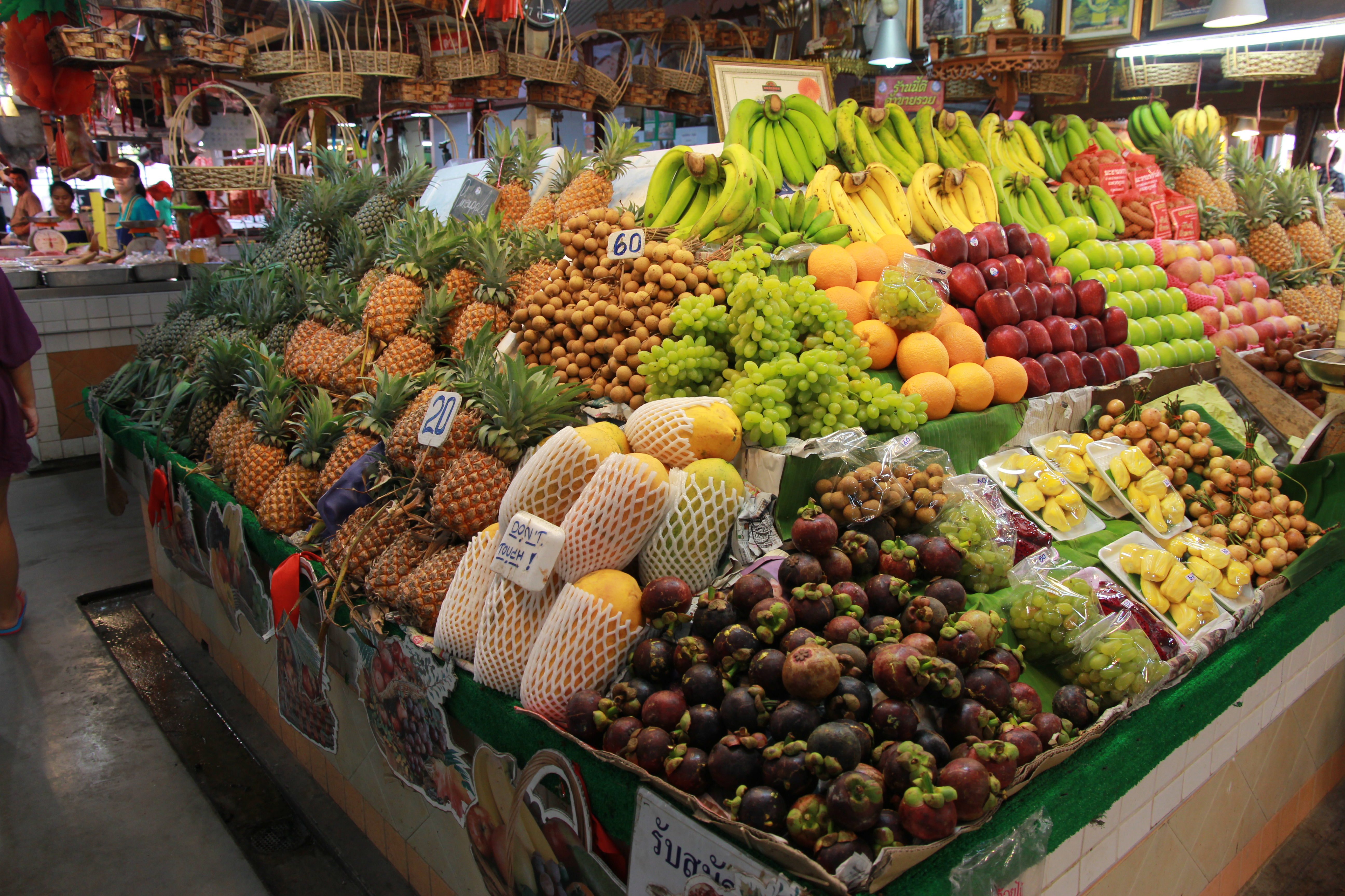 在普吉岛浮潜拍到的美妙海底世界 (普吉岛cape panwa hotel浮潜)