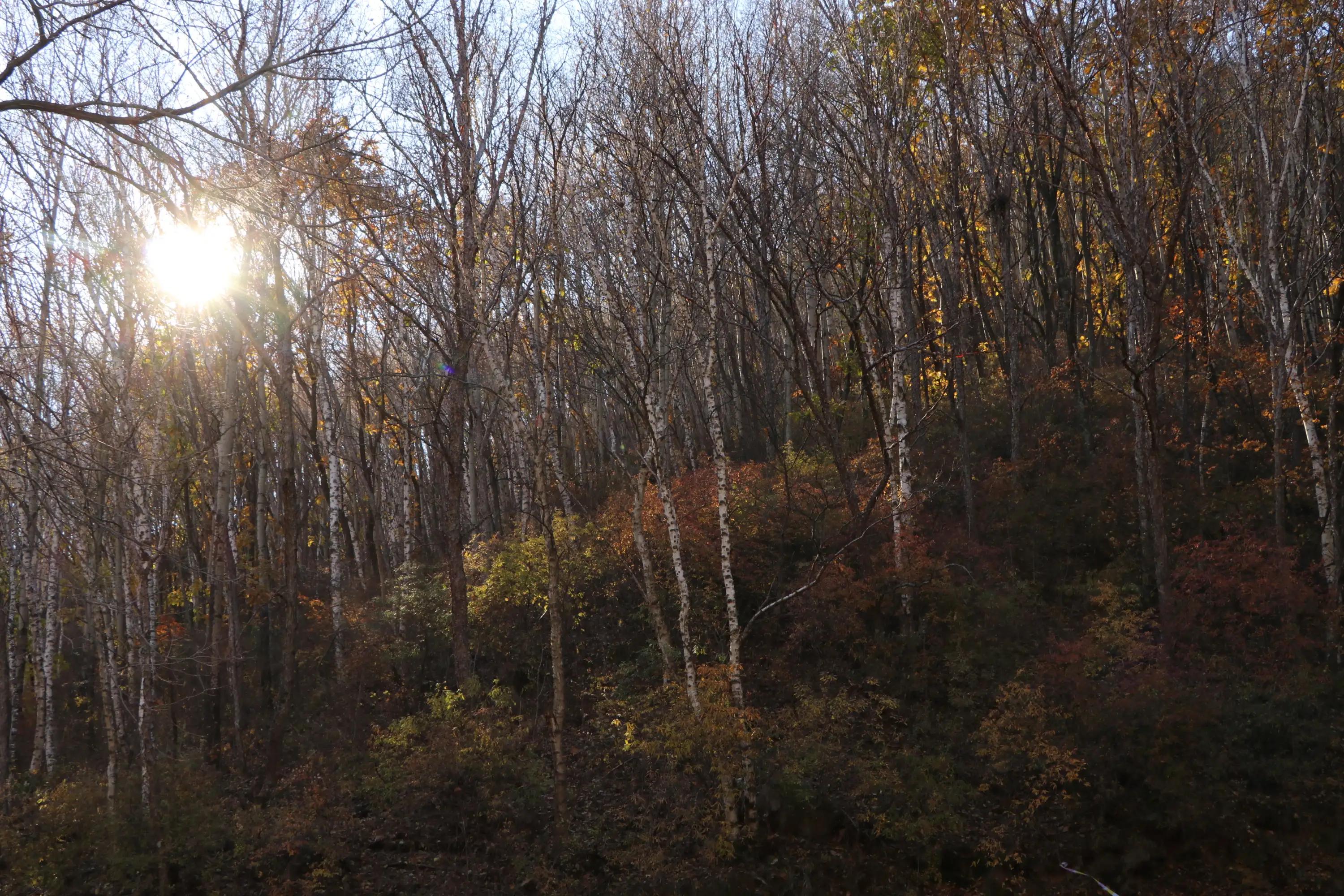 怀柔喇叭沟门原始森林2日自驾游,怀柔喇叭沟门原始森林骑行