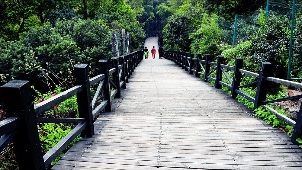 通安镇苏州,苏州通安通航水稻农场