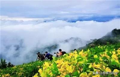 皖浙1号线最美段,皖浙1号风景道全景图