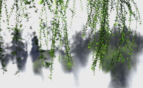 杨柳的诗句古诗大全,杨柳的原创诗词