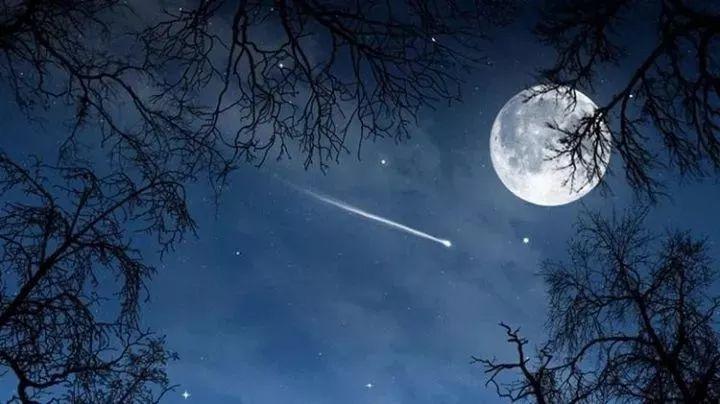 古人唐诗300首大全,唐诗300首所有诗完整版