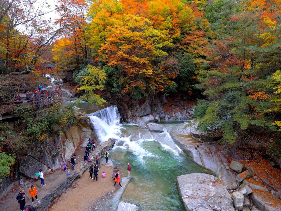 巴中光雾山红叶的最佳时间,红叶谷打卡地