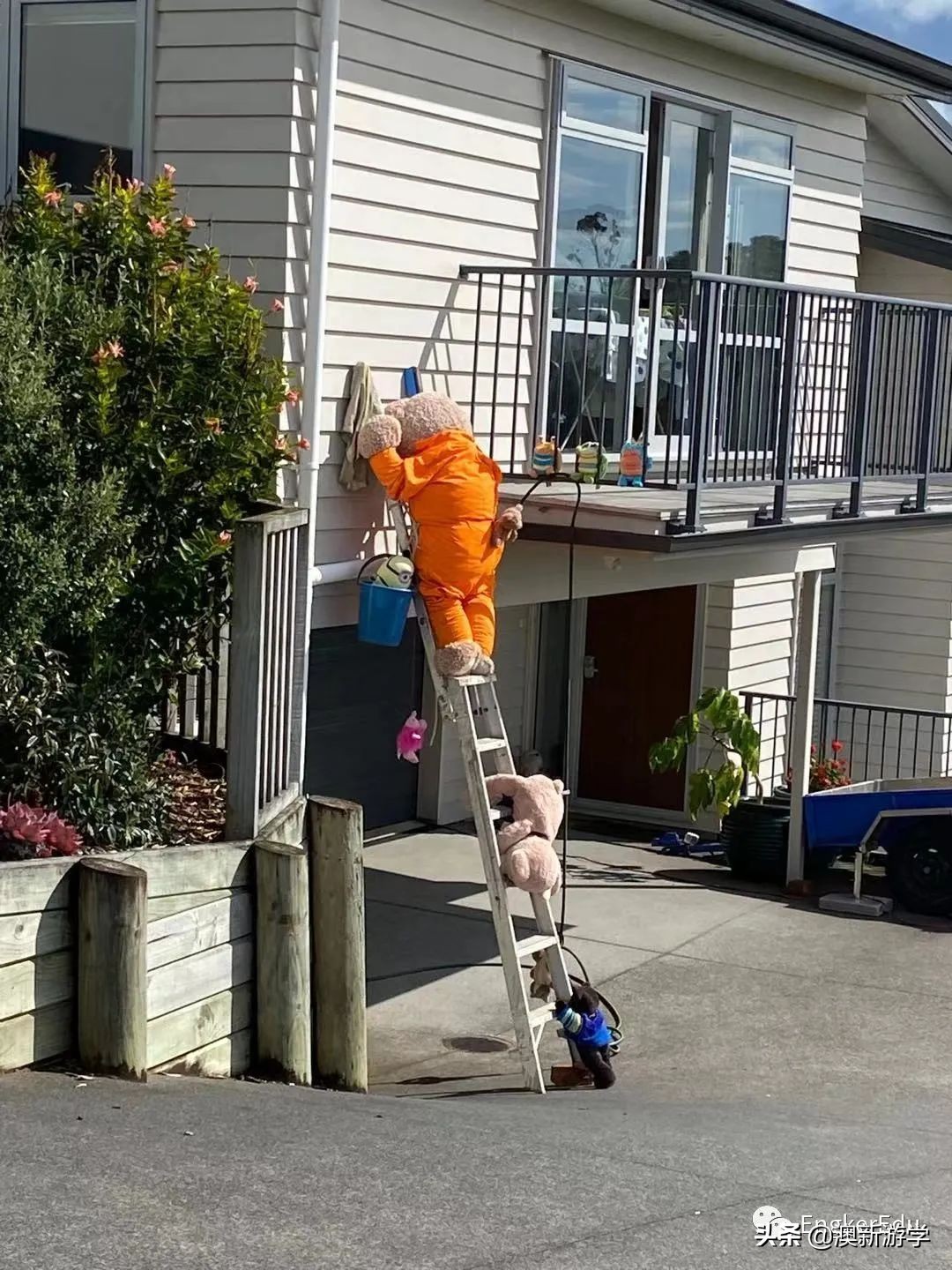 封城期间，玩偶一家的生活大揭秘