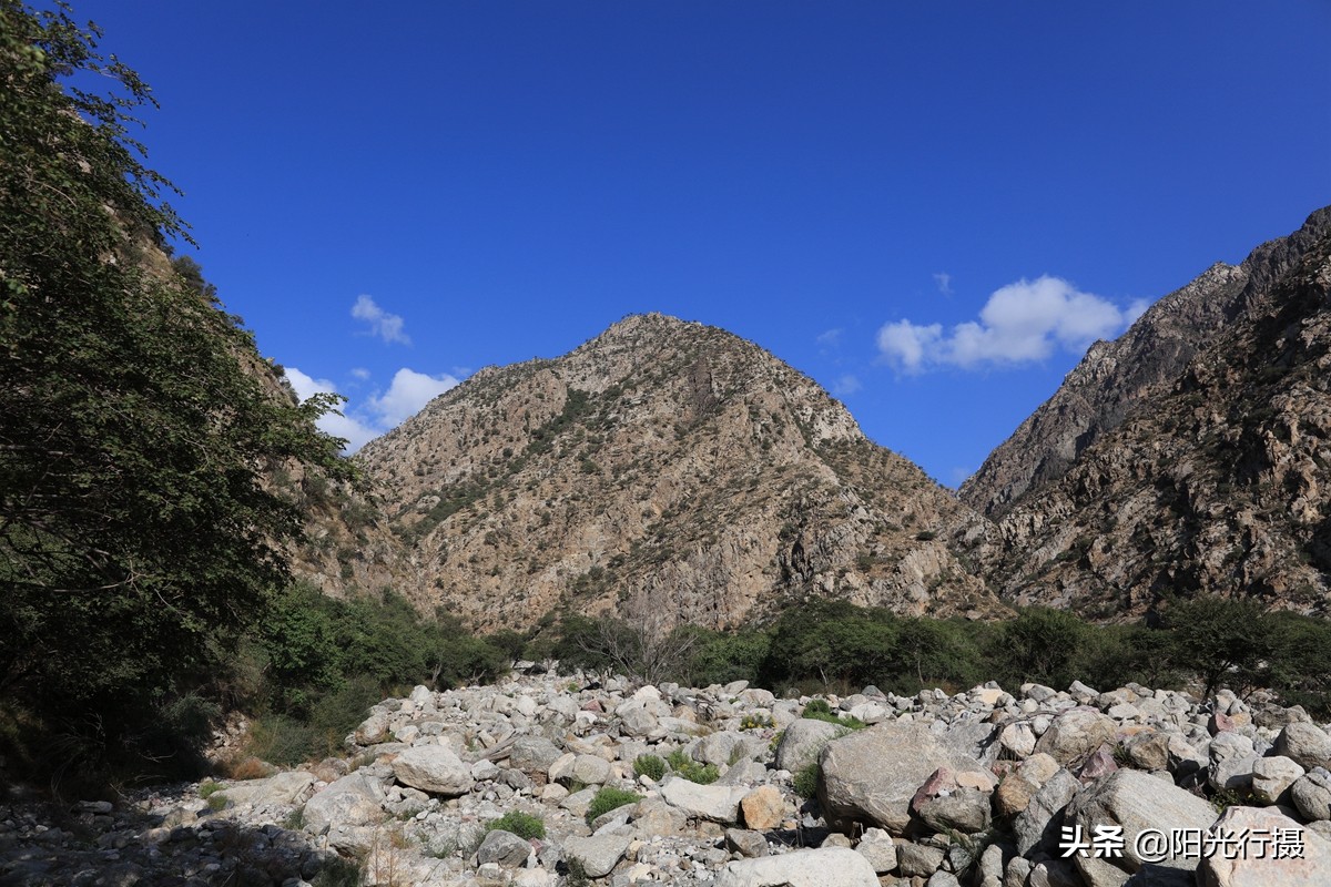 静谧森林和沙漠交界处,静谧森林红色石头