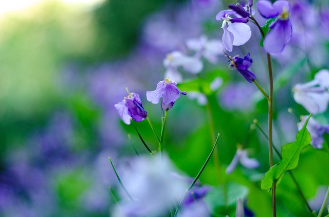 大家如何看待这样的母亲,这样的母亲值得原谅吗