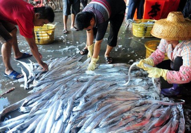 带鱼什么季节吃最好吃,又到吃小鱼的季节