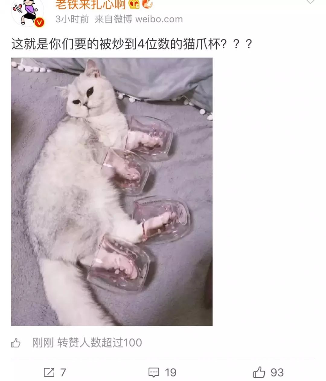 星巴克真香警告：猫爪虽香，小心挠伤