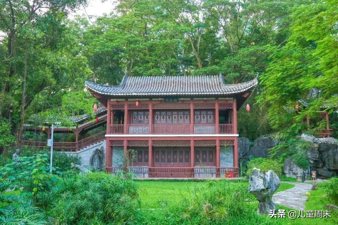 深圳带娃免费旅游推荐,深圳带娃出游景点攻略推荐