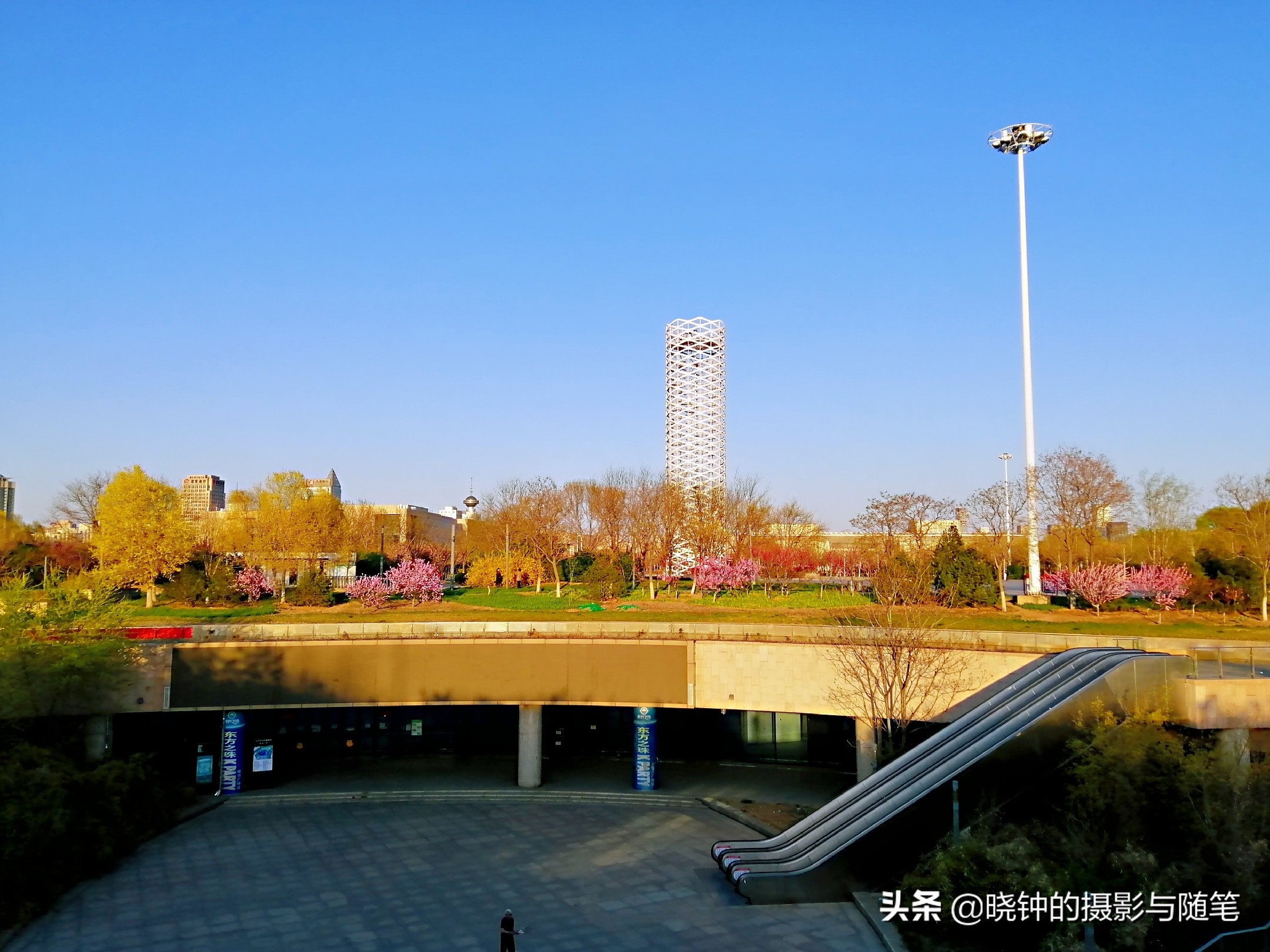 姹紫嫣红的天津文化中心，让人感受到这座城市的文化氛围与格调