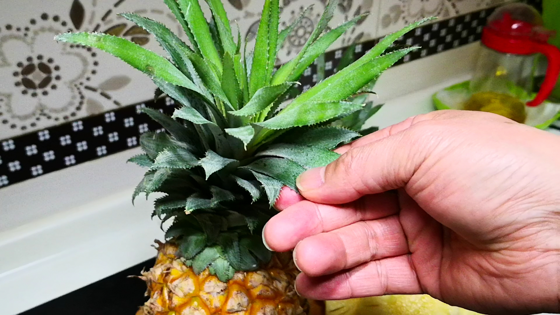 20块钱买了一盒水果,20块钱的凤梨