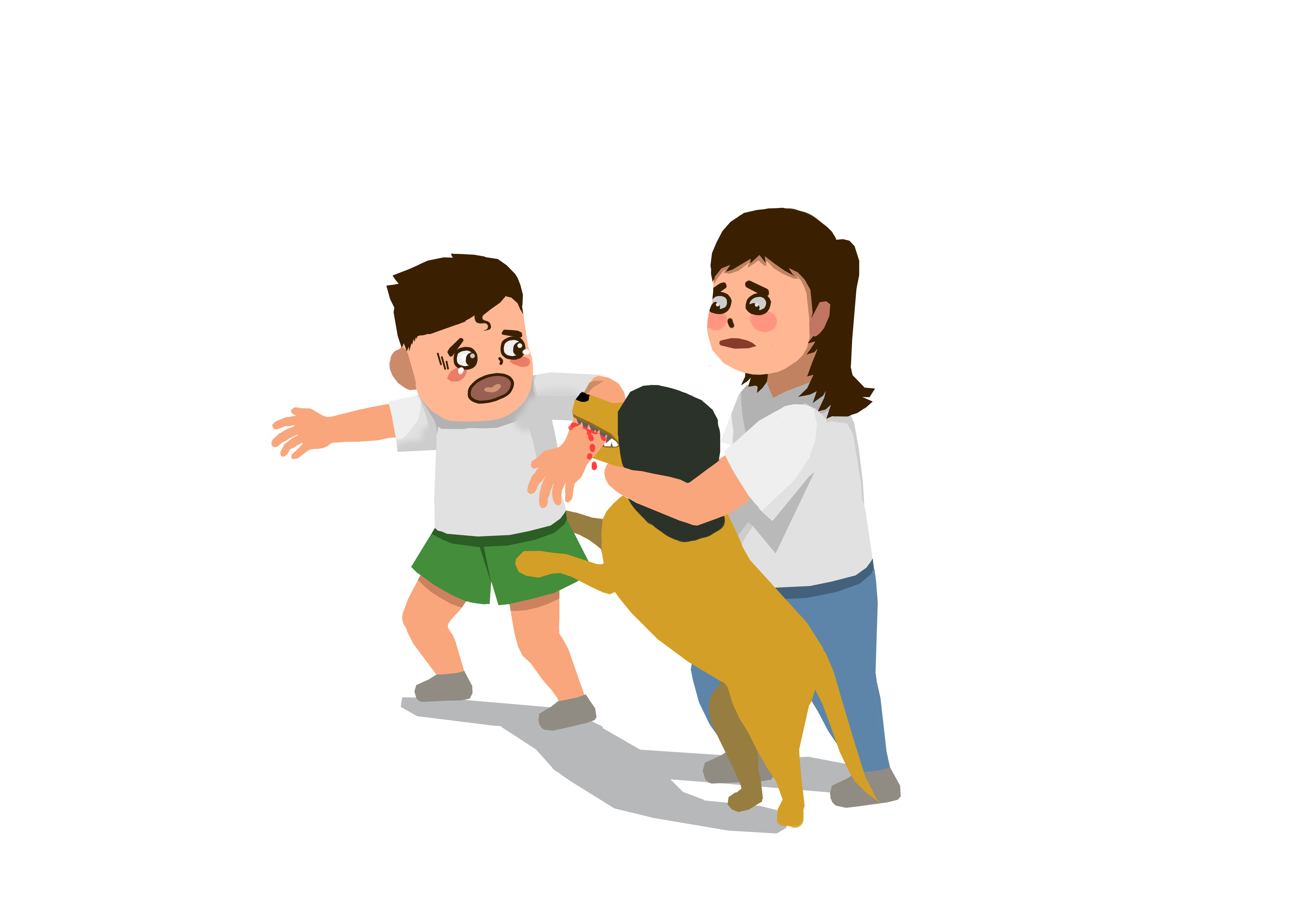 孩子被狗狗咬了安全教育视频,孩子被狗狗咬了去哪里看