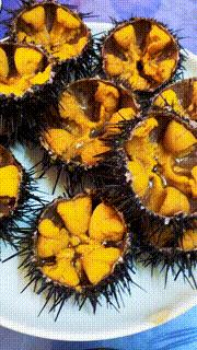 十年前，我只带了一根鱼竿出门，吃遍了世界上的各种顶级海鲜