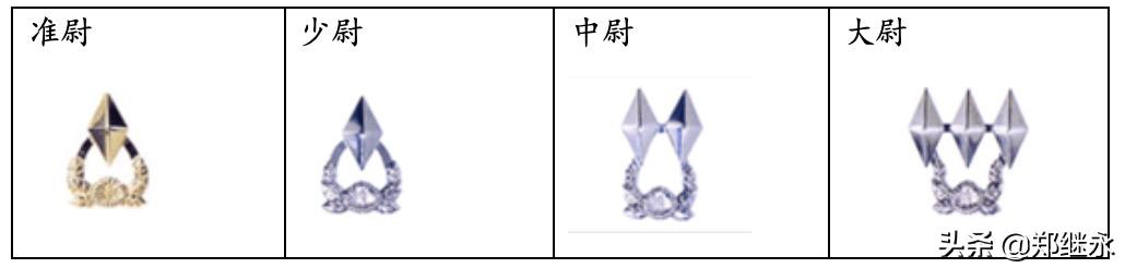 韩国陆军服役服,韩国陆军师标志