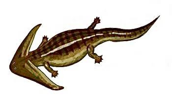 精灵宝可梦最强的六只龙系宝可梦,精灵宝可梦九