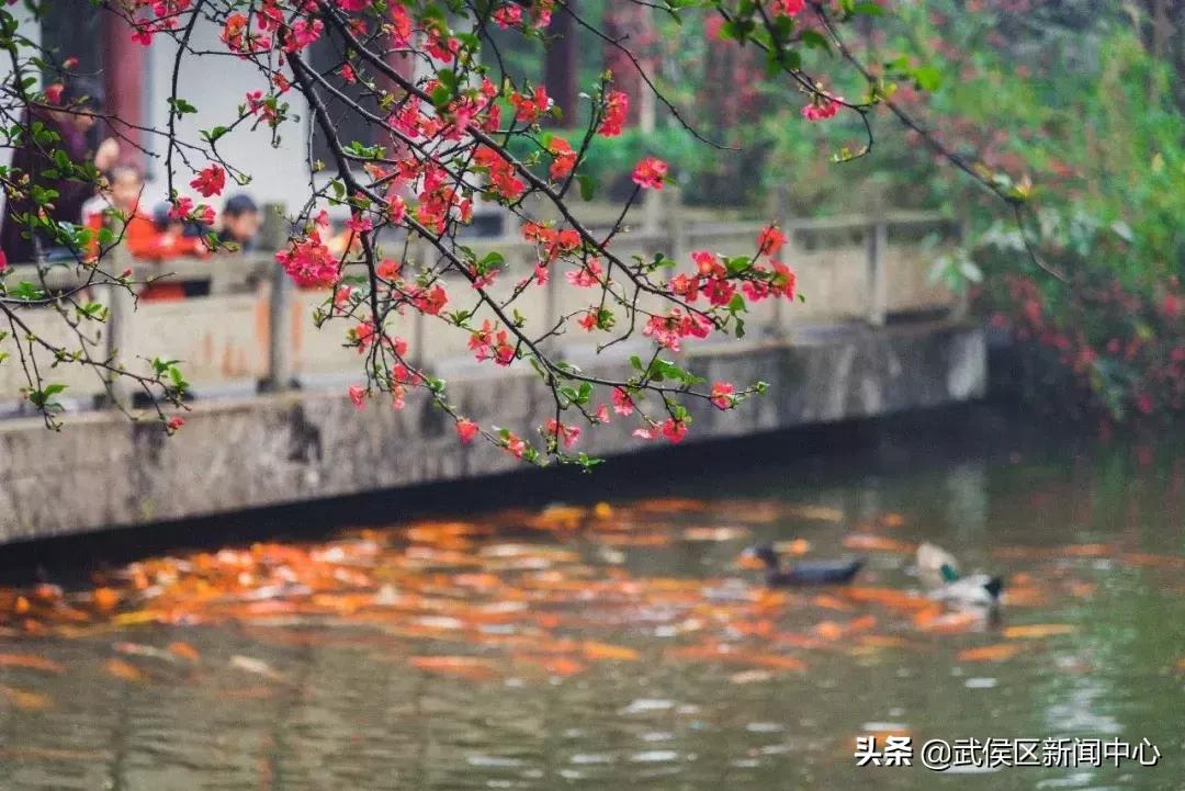 成都旅游景点免费门票,成都周边好玩的地方景点免费