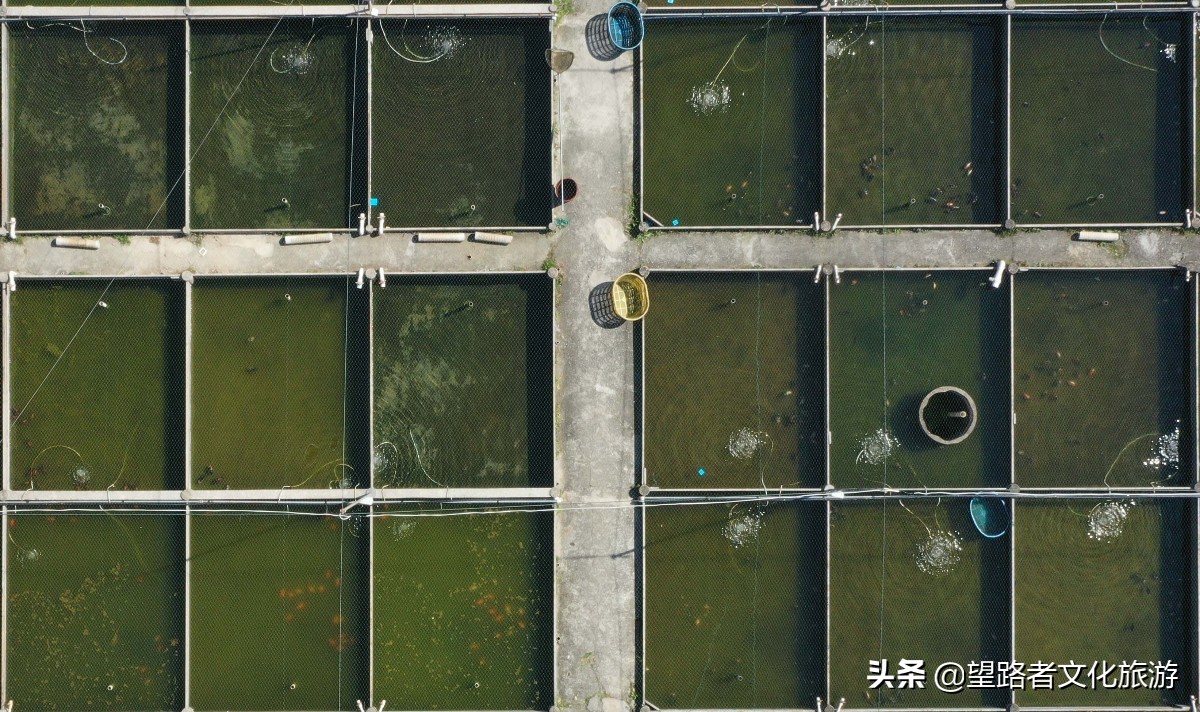 旗山农家小院,旗山农家乐