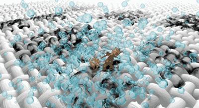 洗衣神器免洗去顽固污渍,洗衣神器去霉斑汗渍