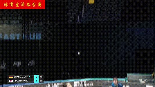 单晓娜直板正胶正手推挡技术,单晓娜正手正胶