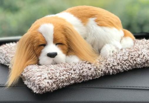 豪车里面有特别的香味,豪车怎么保持车内有香味