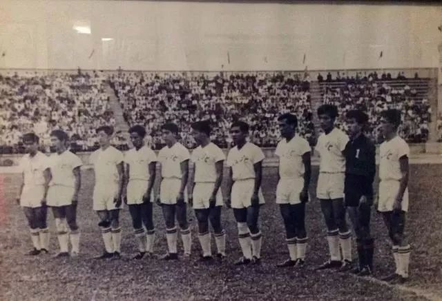 天津津门虎主场泰达,天津泰达津门虎俱乐部