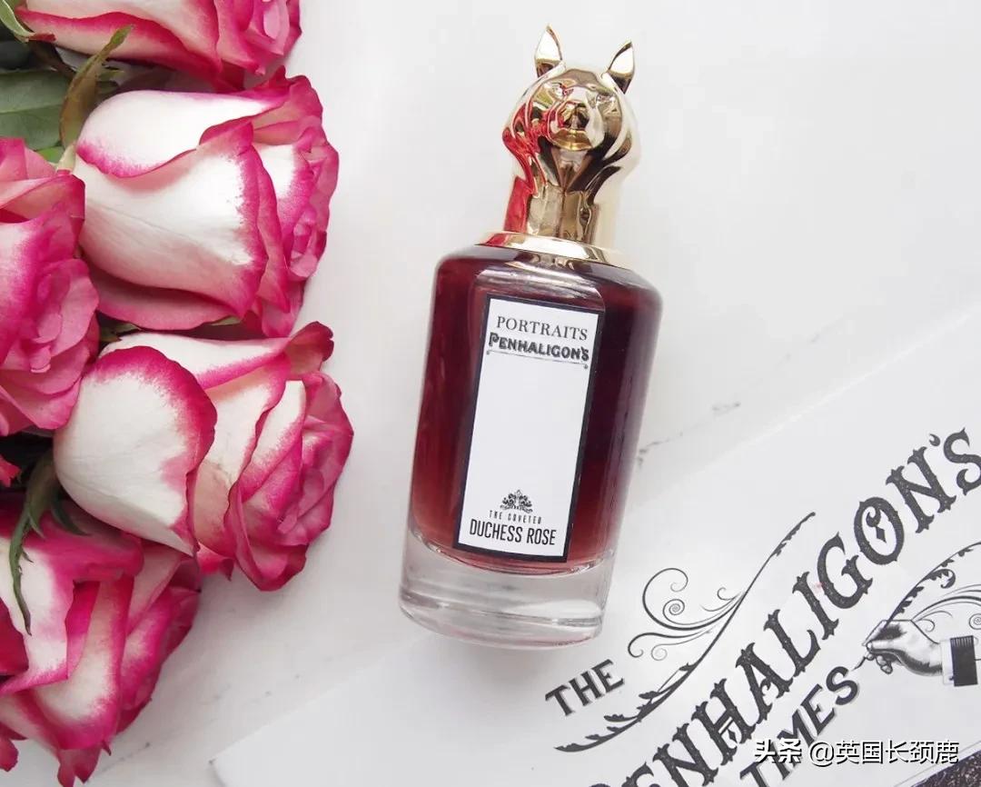 秋冬季节推荐的香水,秋冬香水橘彩星光