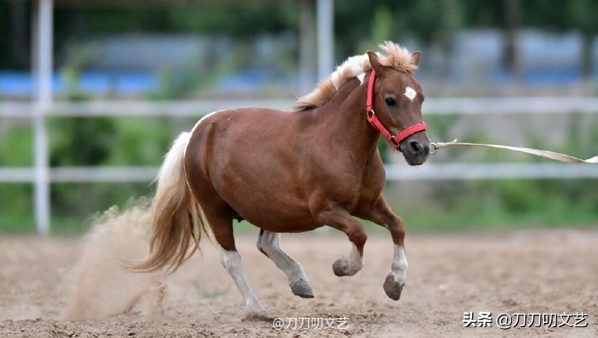 摇滚大爷于谦完整版,于谦的一生被童年治愈