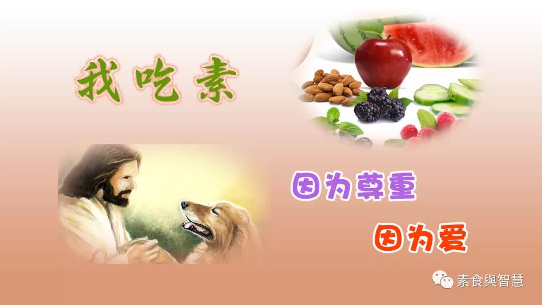 研究显示纯素者拥有更好的耐力，篮球巨星保罗也是位纯素主义者！