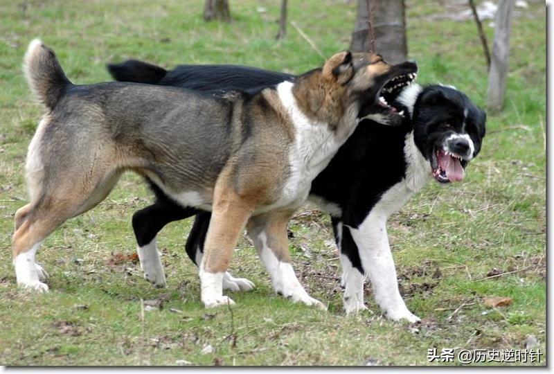 真实的土库曼斯坦,最真实土库曼斯坦