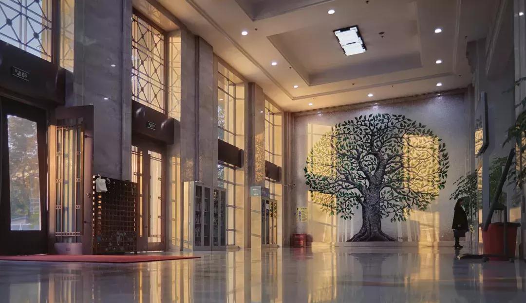 2019武汉大学自主招生,武汉大学自主招生政策